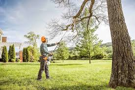 Best Tree Preservation Services  in Appalachia, VA